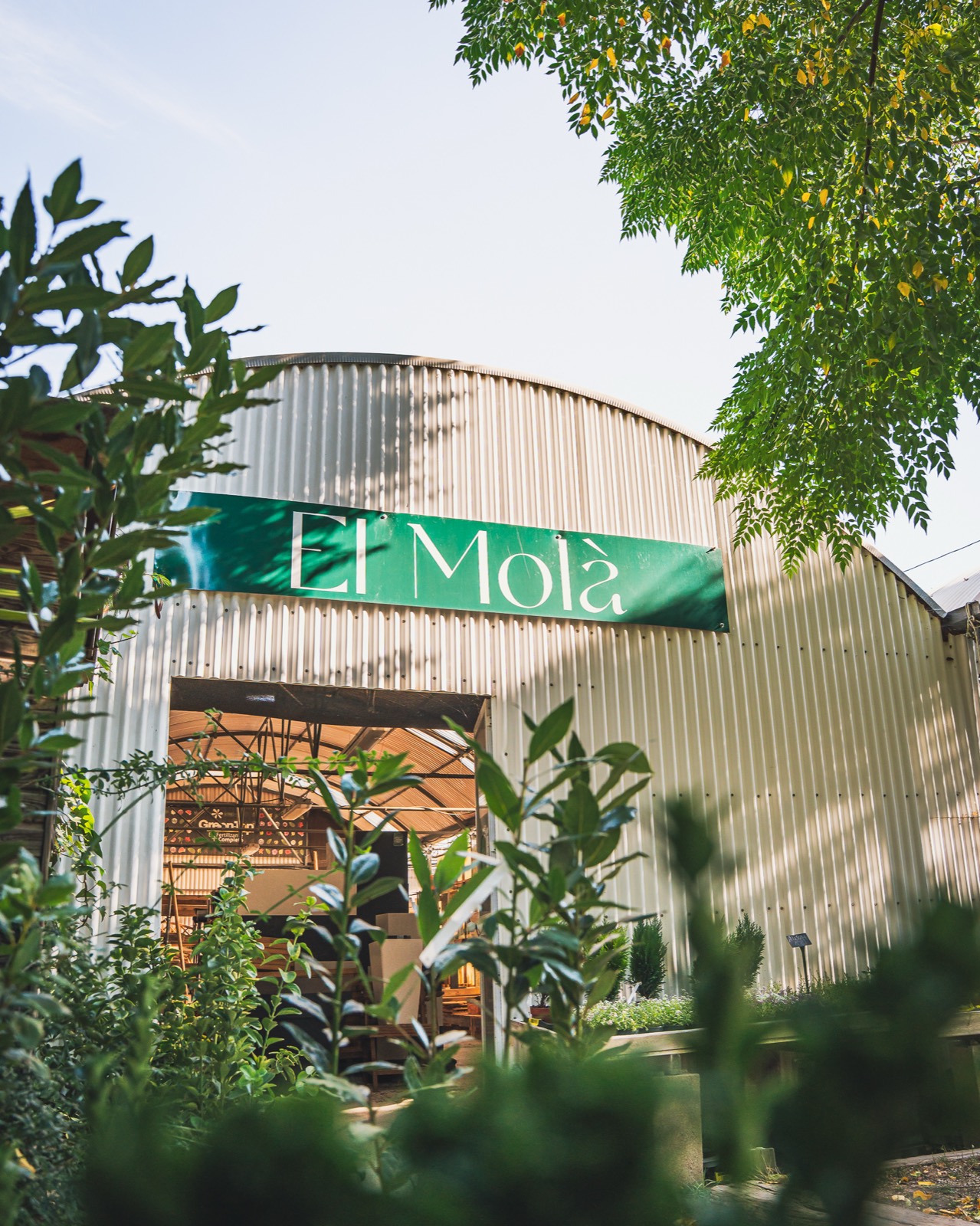 El Molà Garden — projecte audiovisual d'Avata Studio